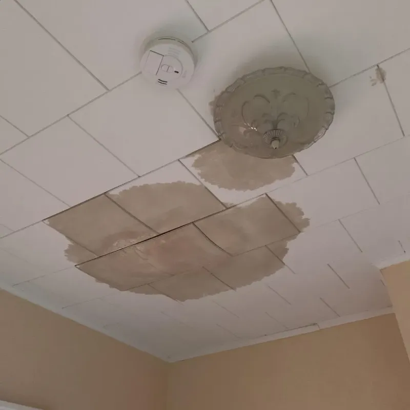 Ceiling Water Damage Repair in Calhoun County, MI