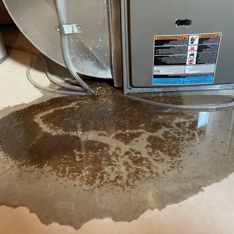 Pipe Burst and Leak Restoration in Calhoun County, MI