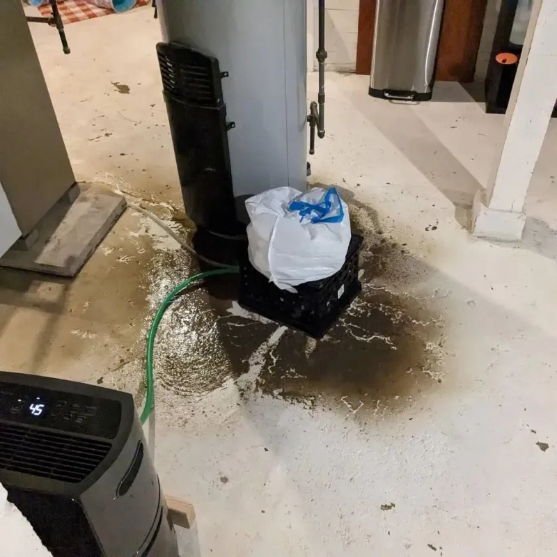 Sewage Backup Cleanup Service in Calhoun County, MI